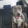 Bella photo 3