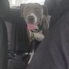 Bella photo 5