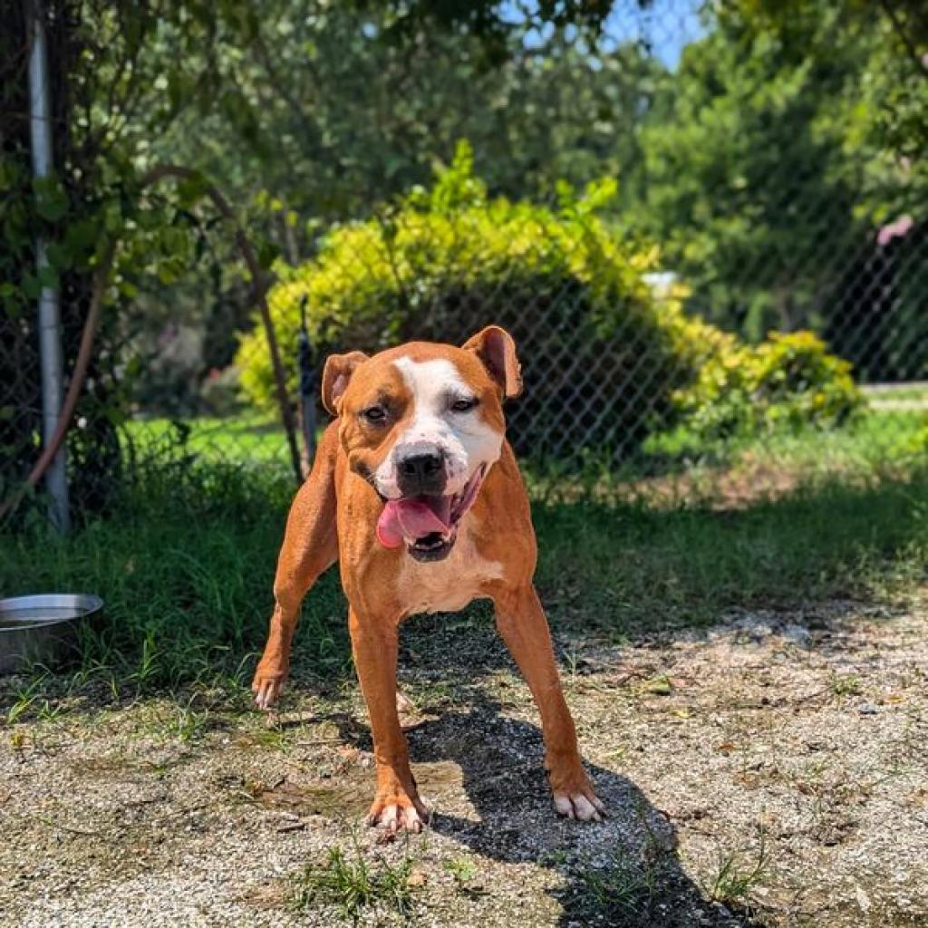 Buster