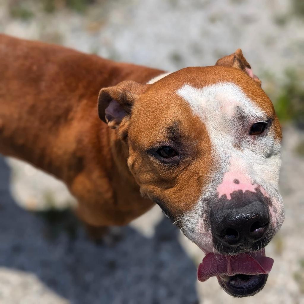 Buster