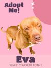 Eva photo 3
