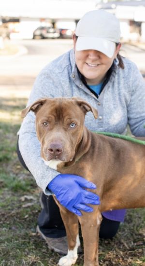 Staff and volunteers have said it all about dog friendly Renaissance Staff He was super sweet and