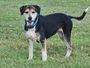 _Dottie, Senior Female unknown