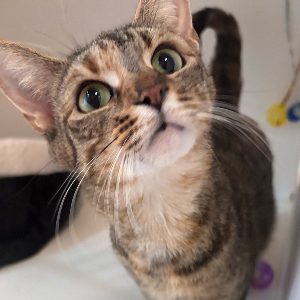 Fiona
