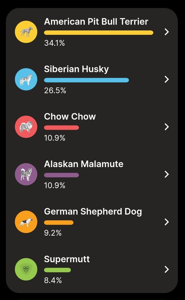 Grizzly 2