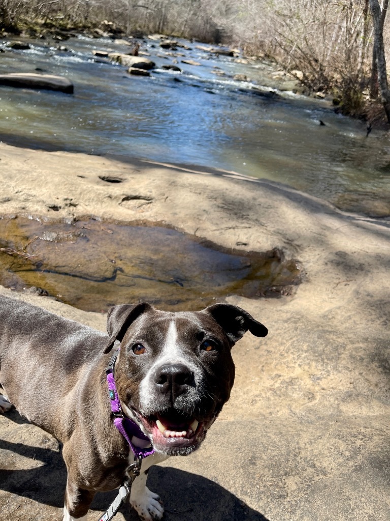 Bella
