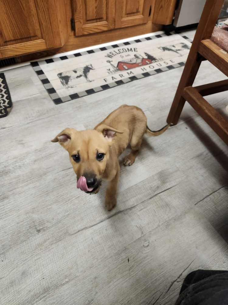 Sophie