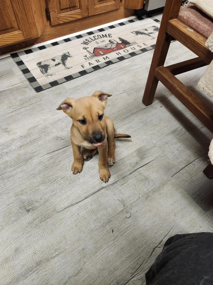 Sophie