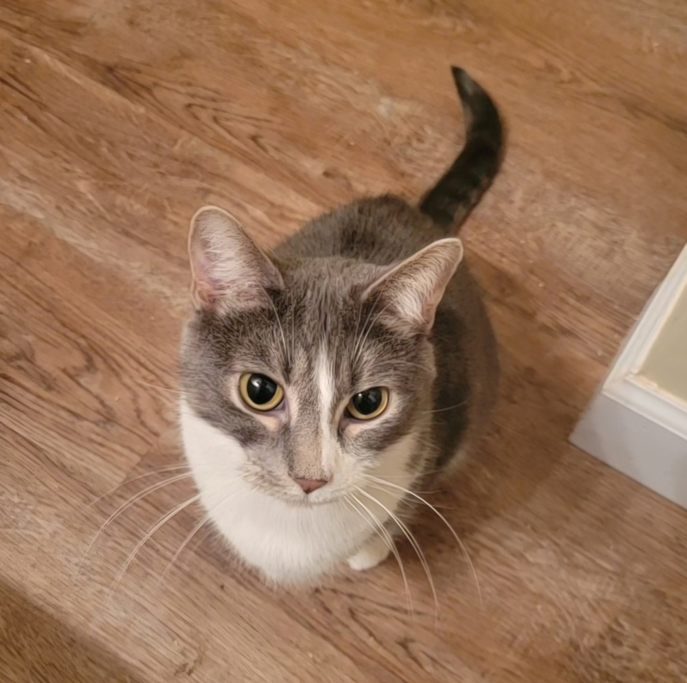 Abby