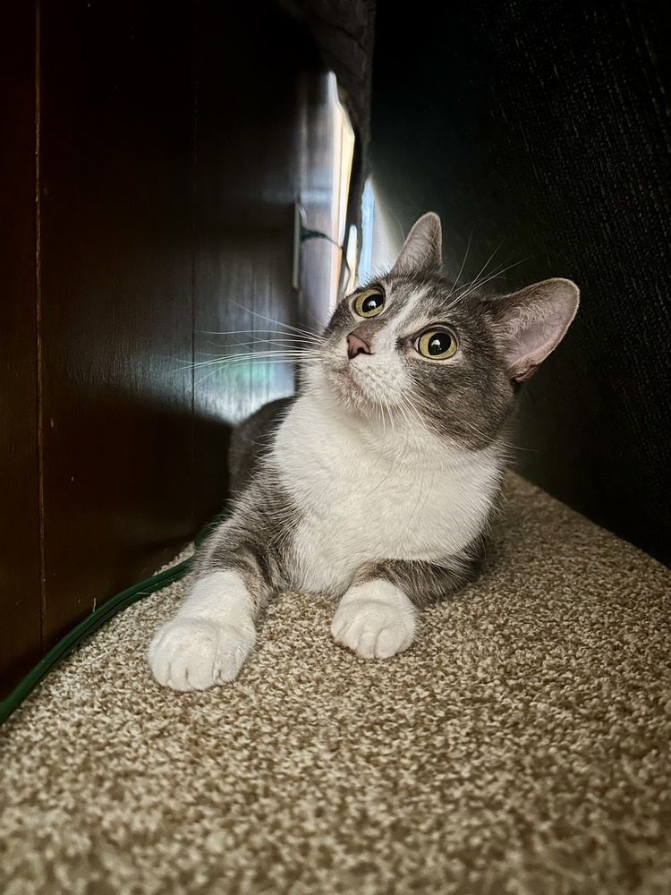 Abby