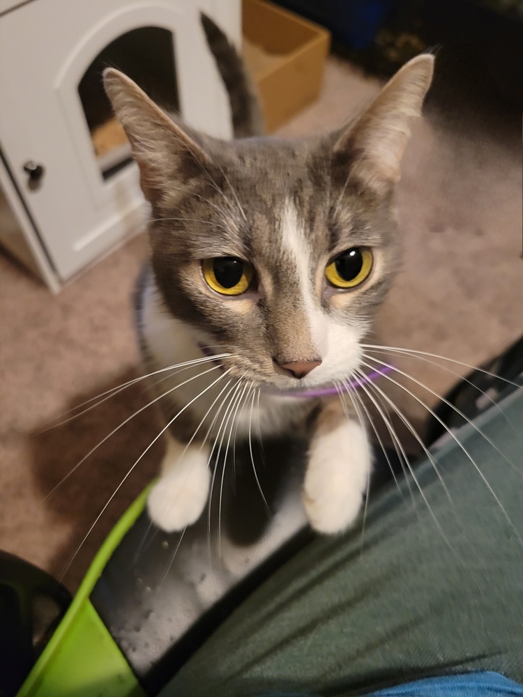 Abby