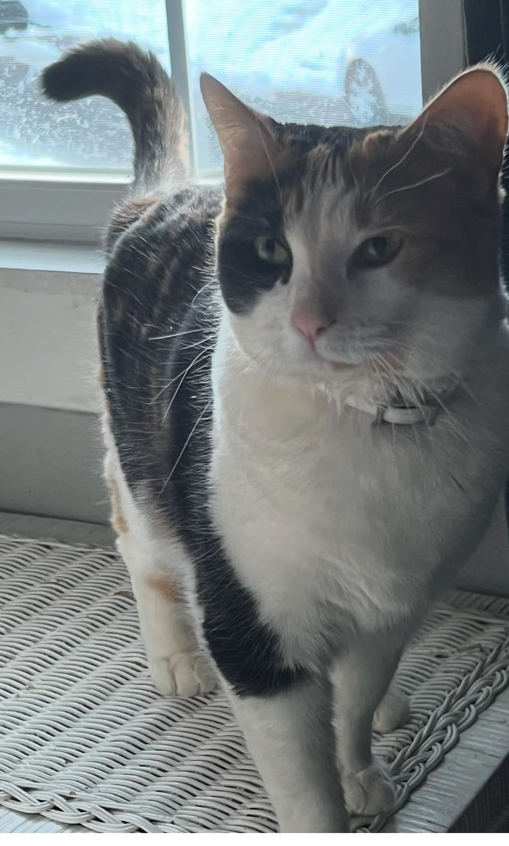 Delilah