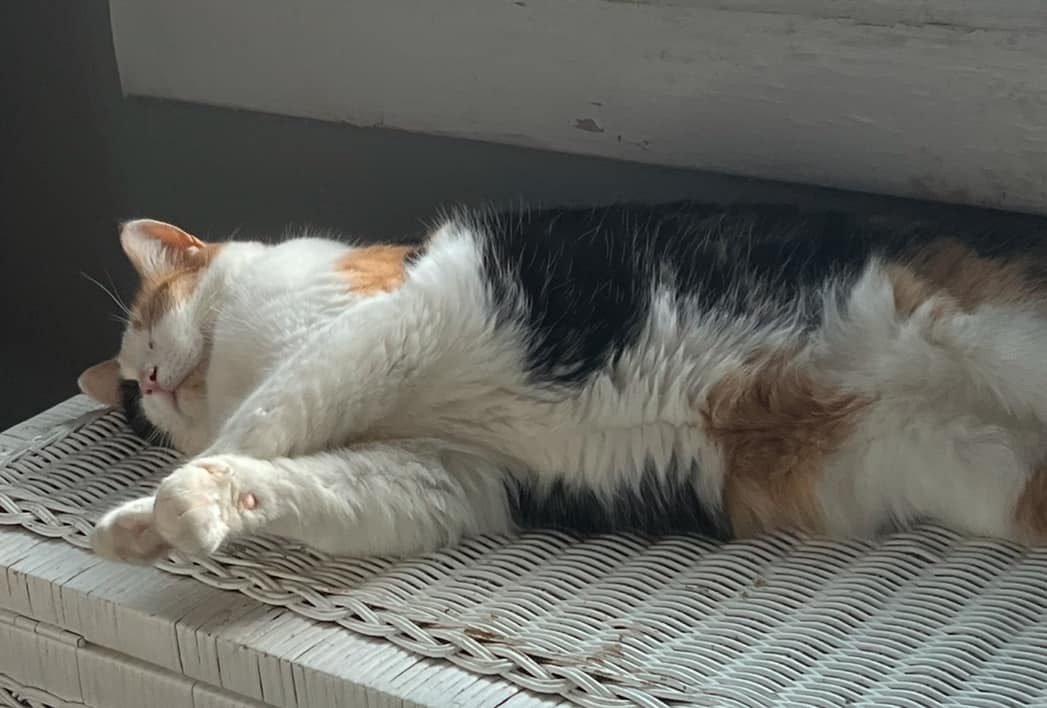 Delilah