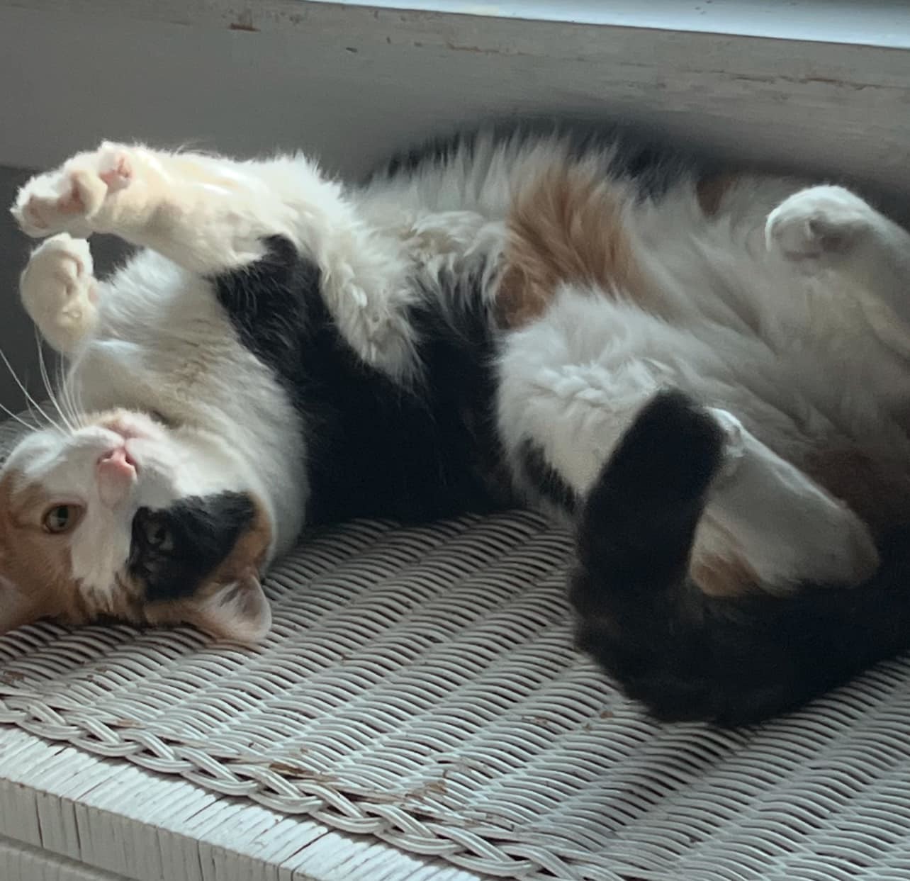 Delilah