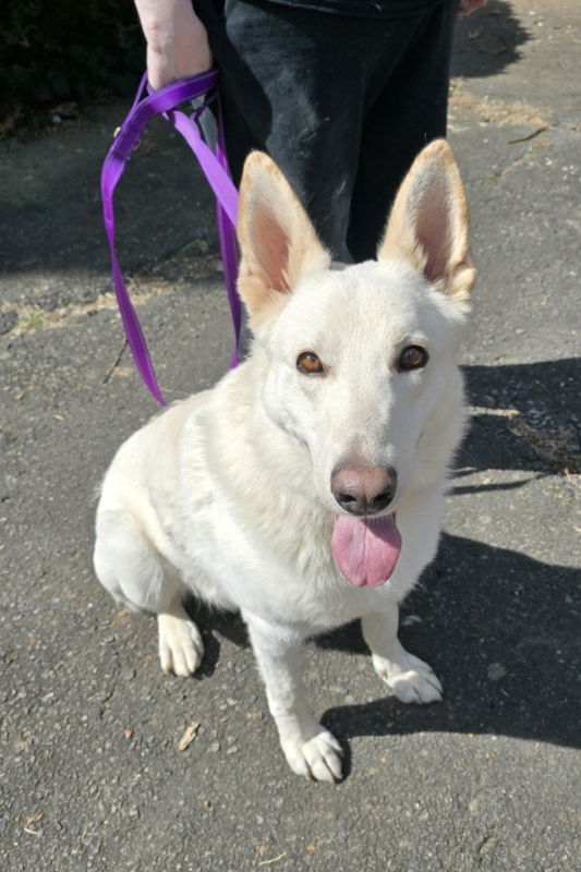 Pablo ("Paulie")