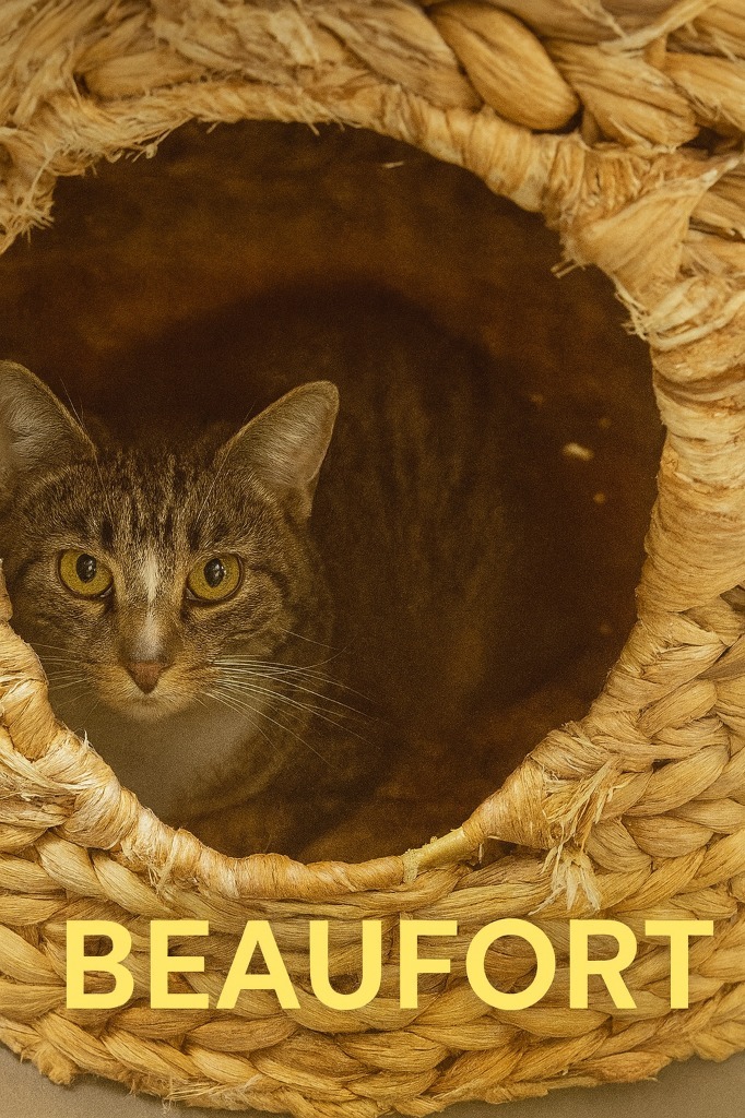 Beaufort