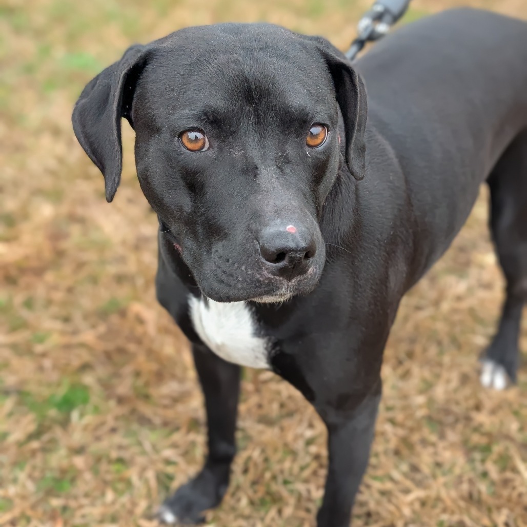 Molly 02-0403