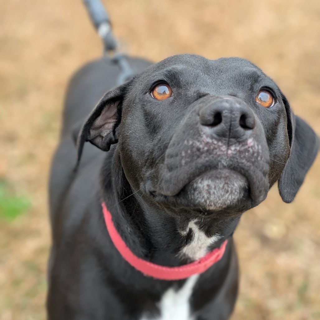 Molly 02-0403