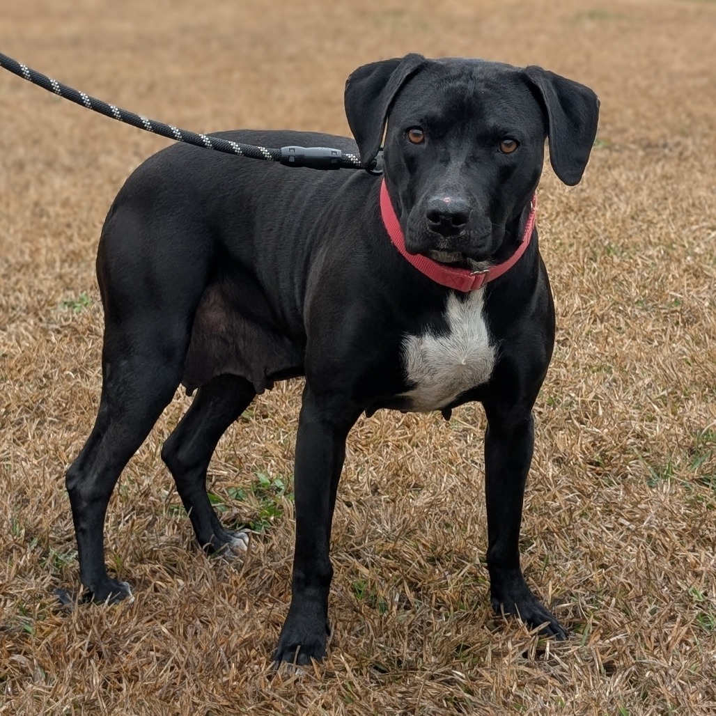 Molly 02-0403