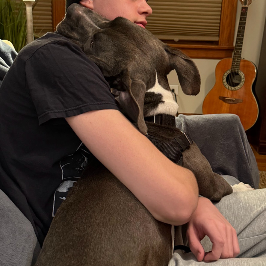 Sal