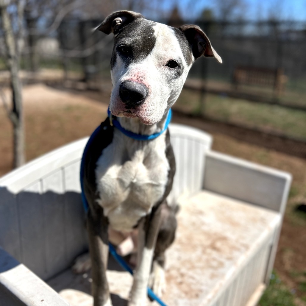 Barkley