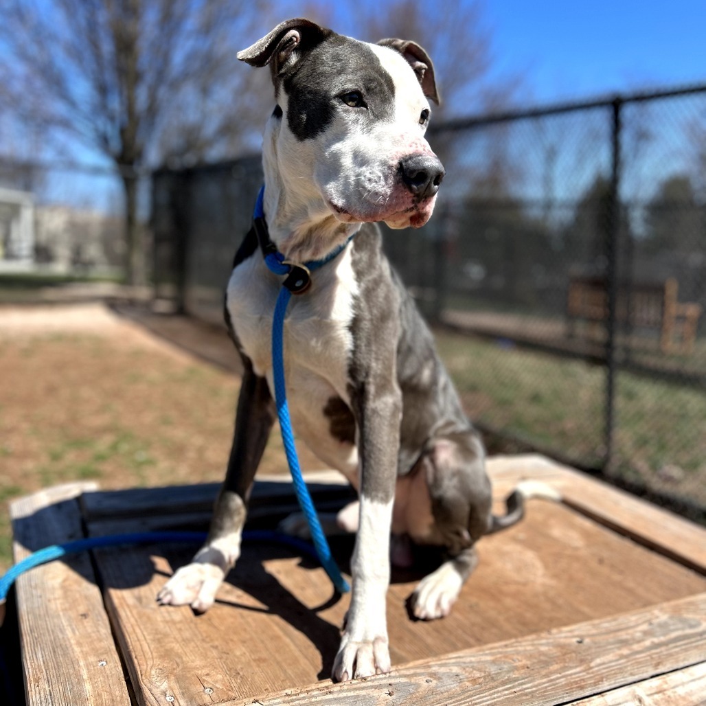 Barkley