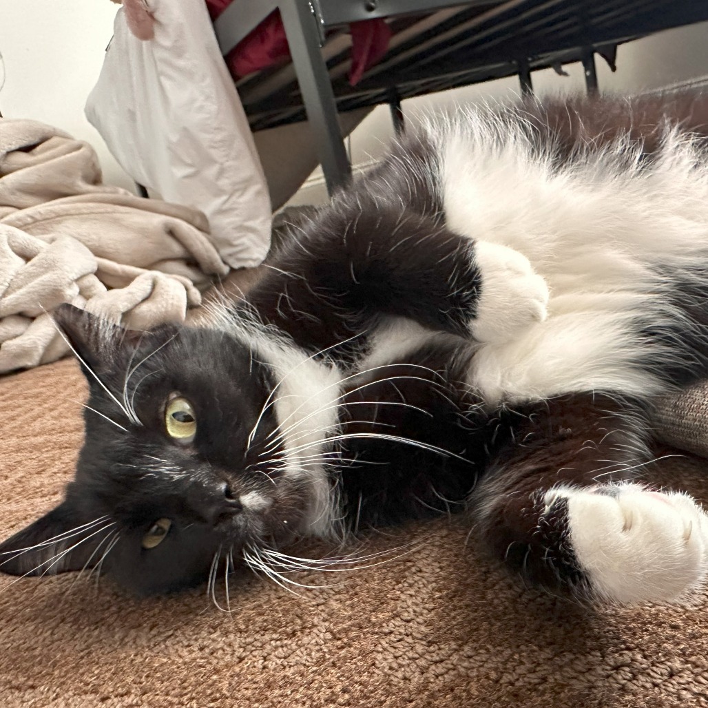 Missy