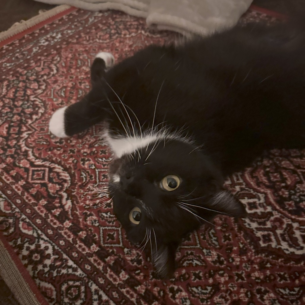 Missy