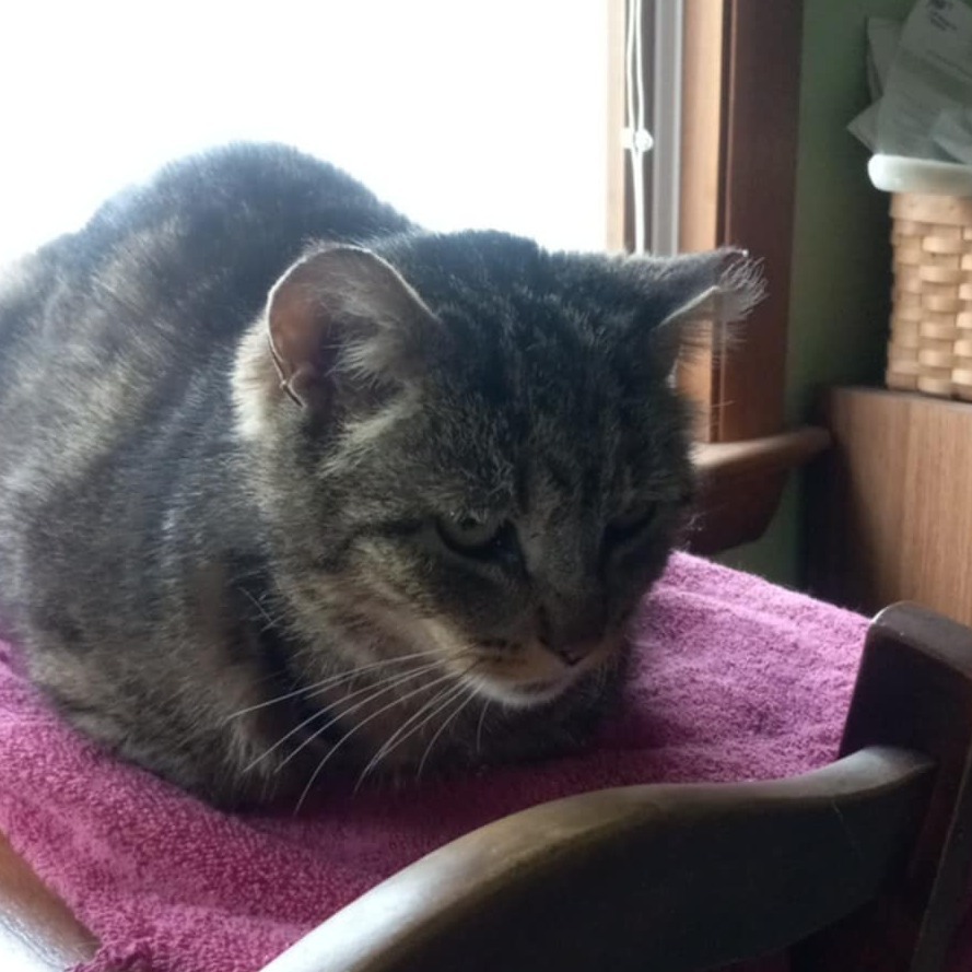Sour Candy - IN FOSTER