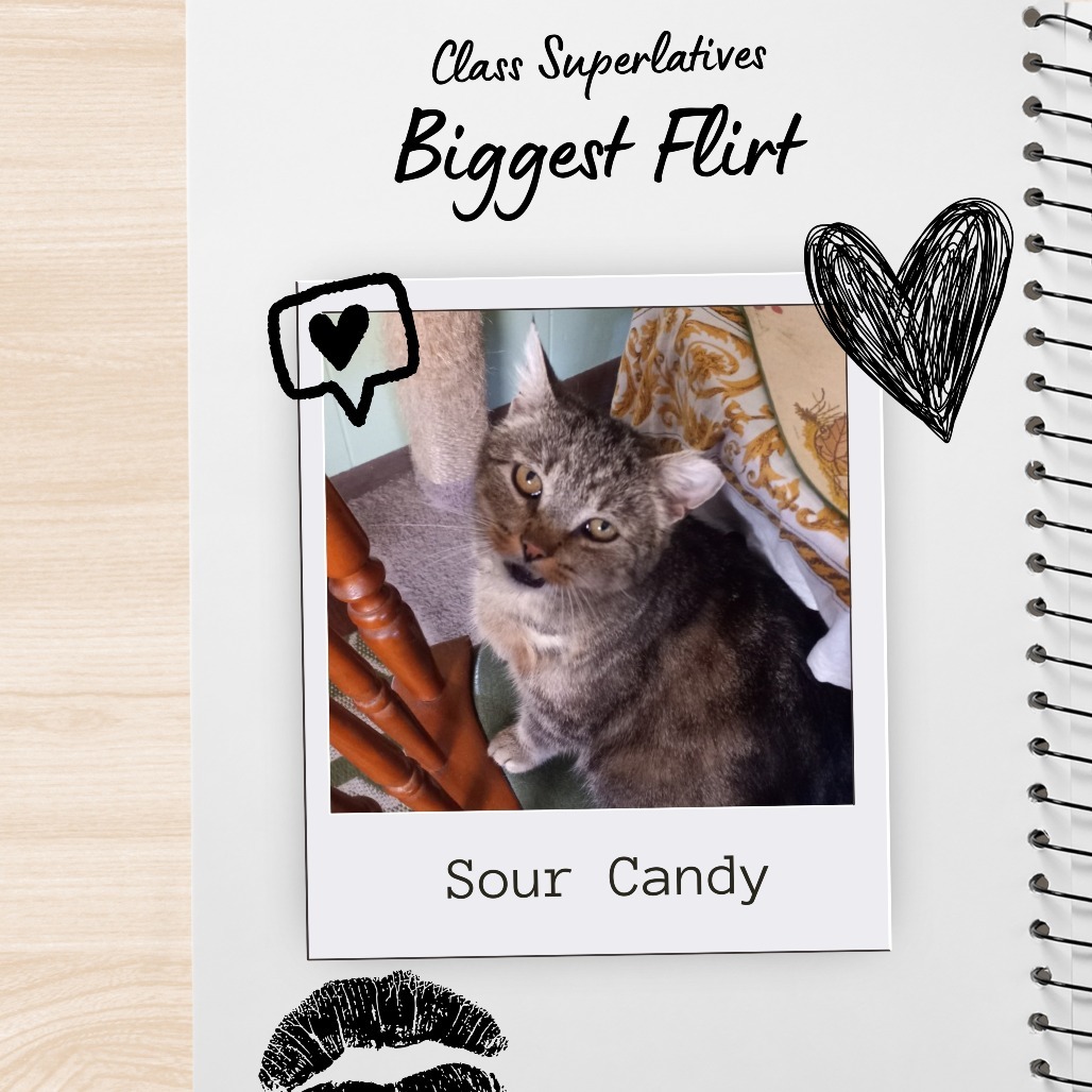 Sour Candy - IN FOSTER