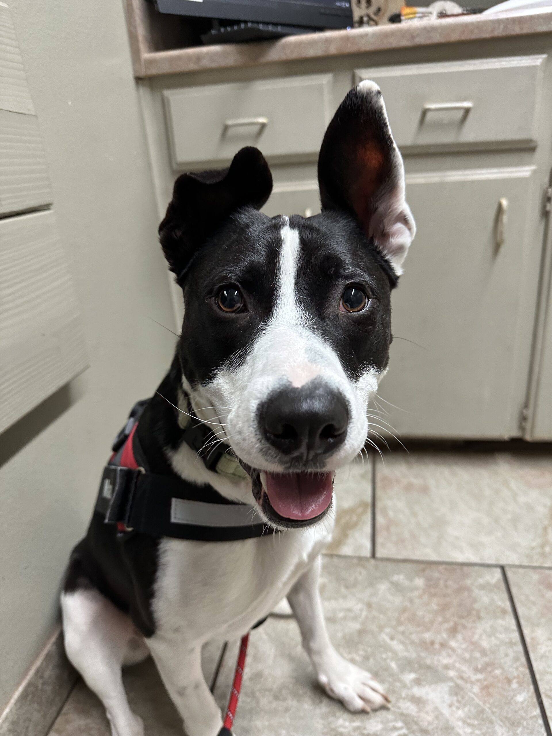 Max
