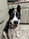 Max photo 1