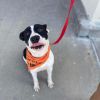 Max photo 3