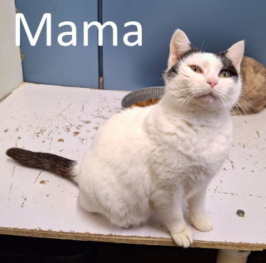 Mama