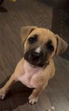 La Belle -Adopted photo 2