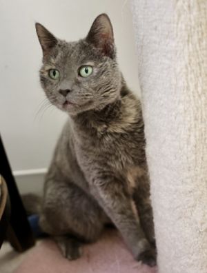 Stacey, Senior Female unknown