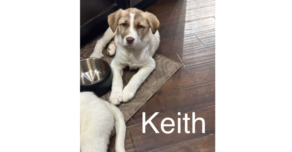 B 52's: Keith