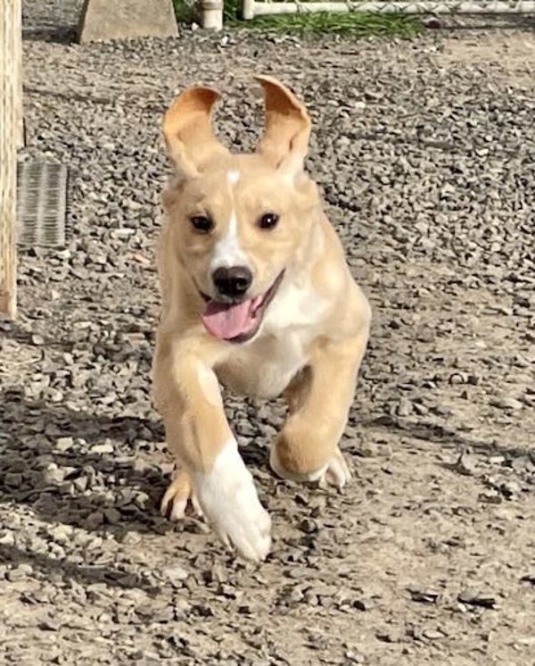 Sadie Photo