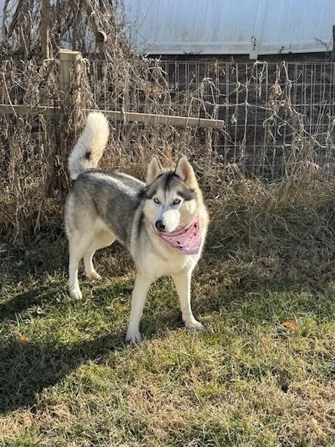 Luna