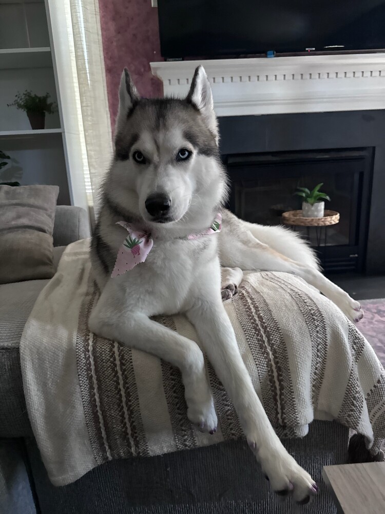 Luna