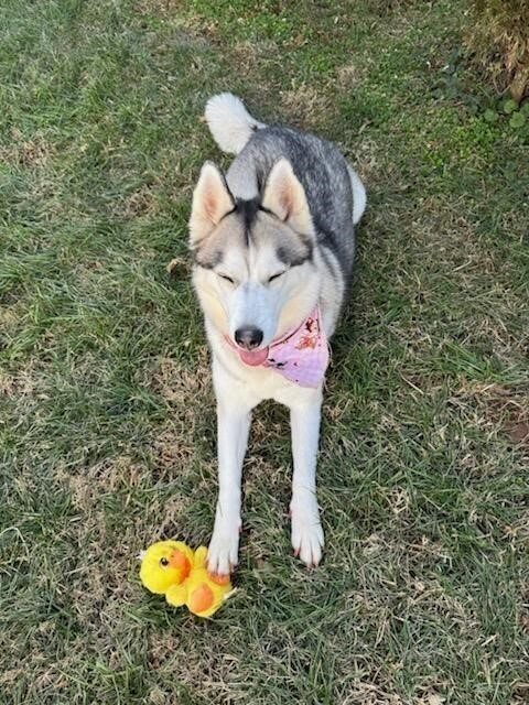 Luna