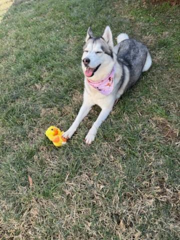 Luna