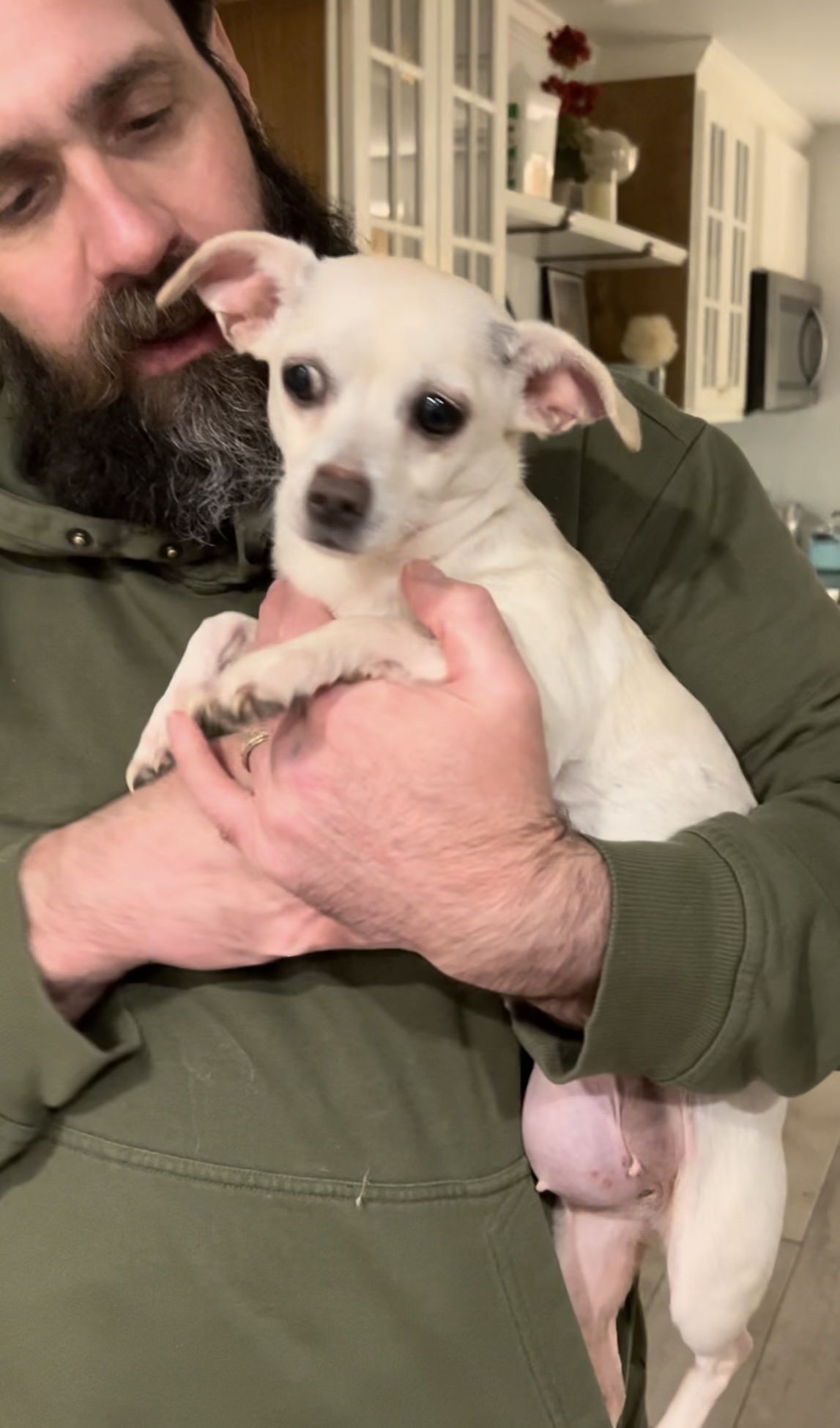 Buttercup (bonded pair with Wesley)