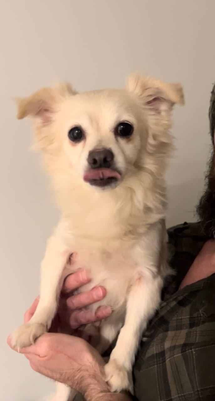 Wesley (bonded to Buttercup)