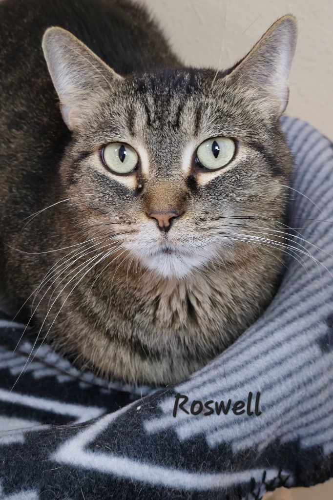Rosewell