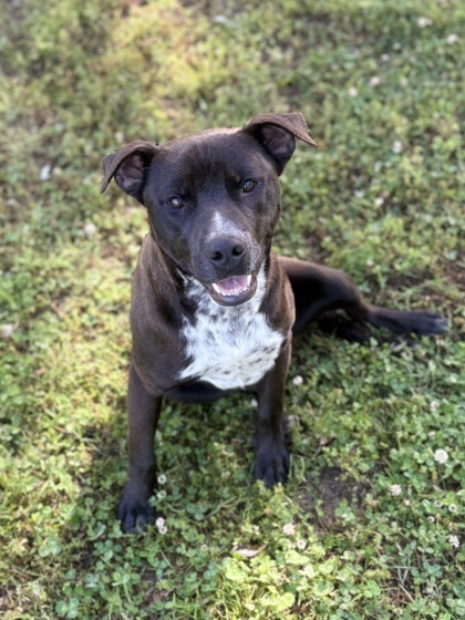 Tyson