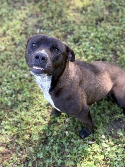 Tyson