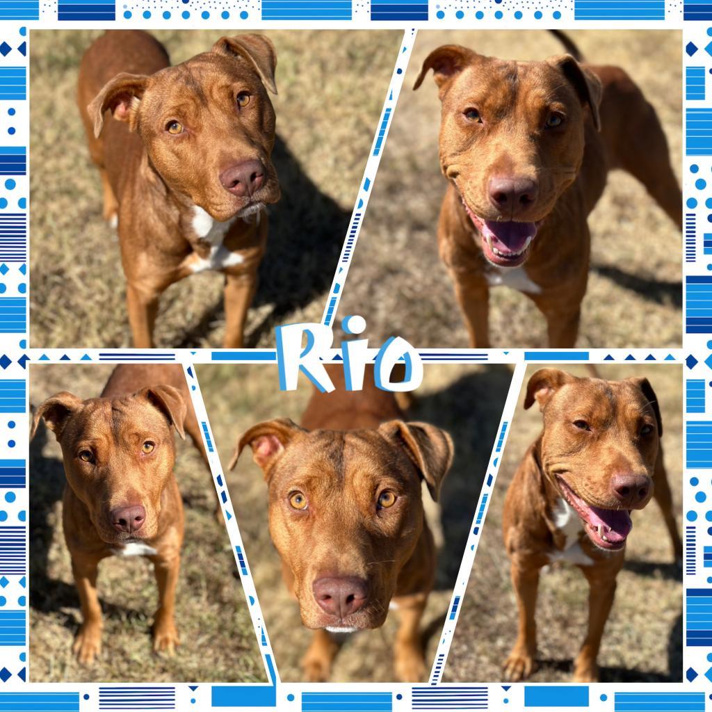 Rio