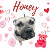Honey 24-0140 photo 1