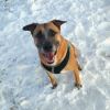 Opie photo 3